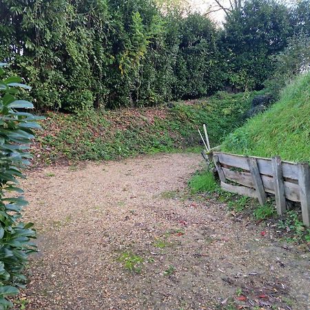 Gite Des Petites Ruelles : Familial Et Chaleureux Trôo المظهر الخارجي الصورة